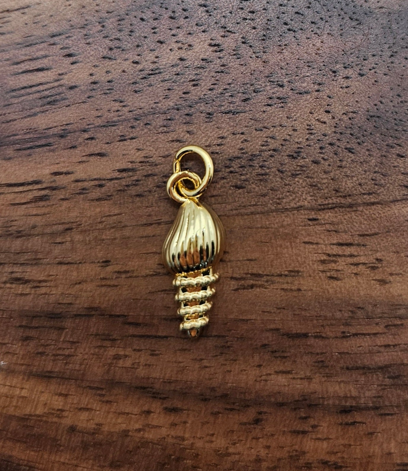 Shell Charm