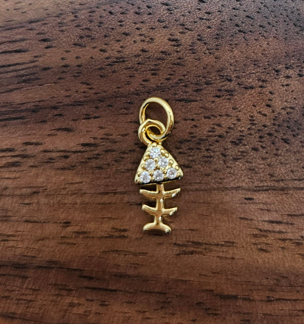 Fish Charm